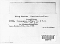 Image Associated With the Occurence